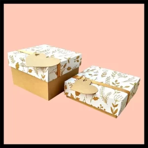 Cardboard Gift Boxes