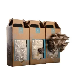 Custom mushroom cultivation kit box printed wholesale USA