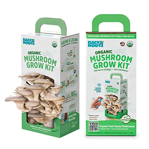 Mushroom grow kit retail packaging box custom printed USA
